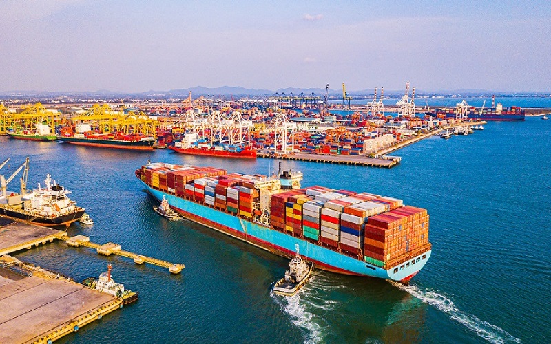 ACG Industry Insights